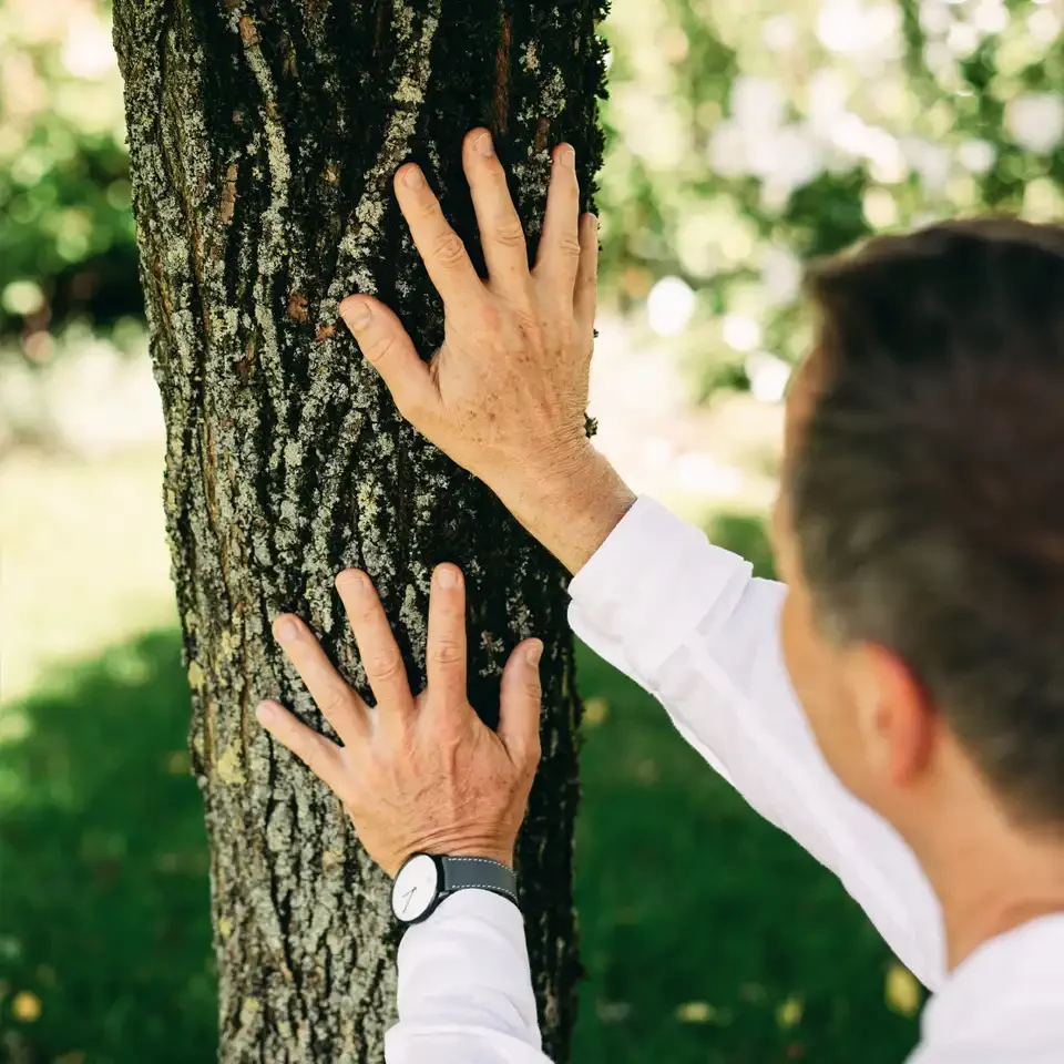 Leicht:Sinn Coaching in der Natur - Walk and talk